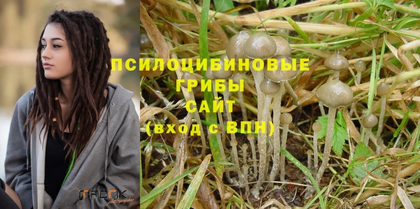 таблы Надым