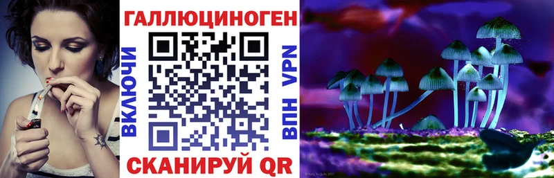 Псилоцибиновые грибы прущие грибы Черкесск
