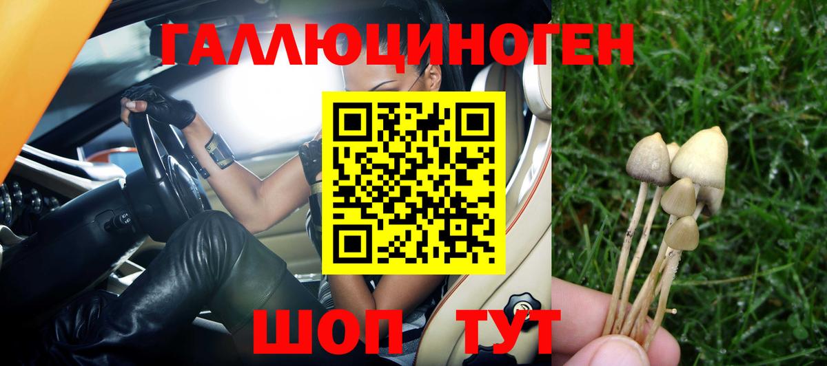 Псилоцибиновые грибы Magic Shrooms  Черкесск 
