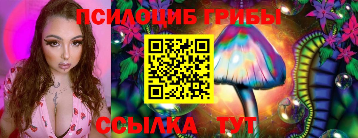 Галлюциногенные грибы Psilocybine cubensis  Галлюциногенные грибы GOLDEN TEACHER  Вход с VPN  Черкесск 