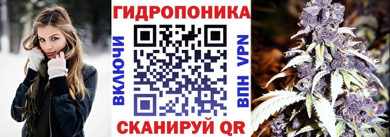 Конопля Ganja  Черкесск 