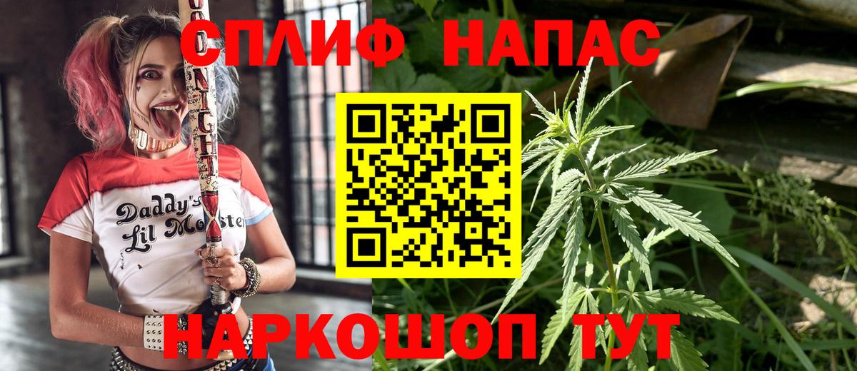 Шишки марихуана сатива Черкесск